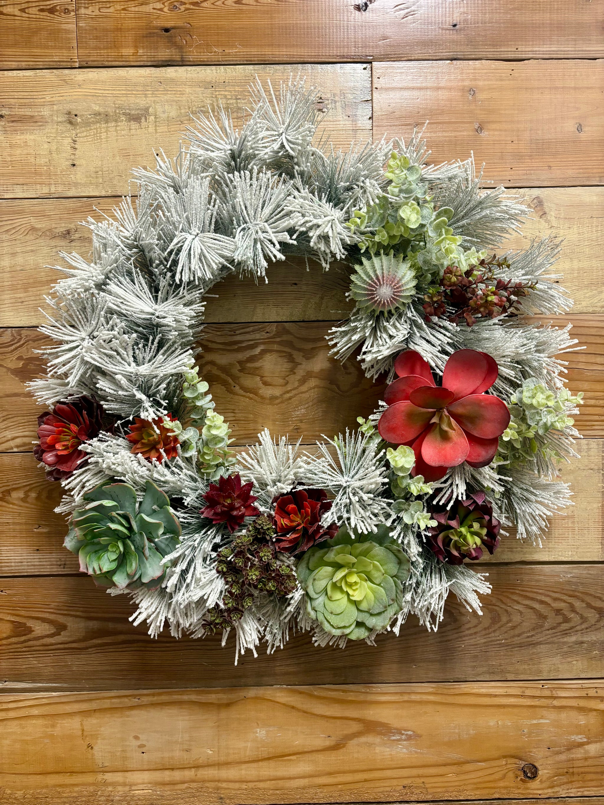 frosted succulents Frosted Succulent Wreath