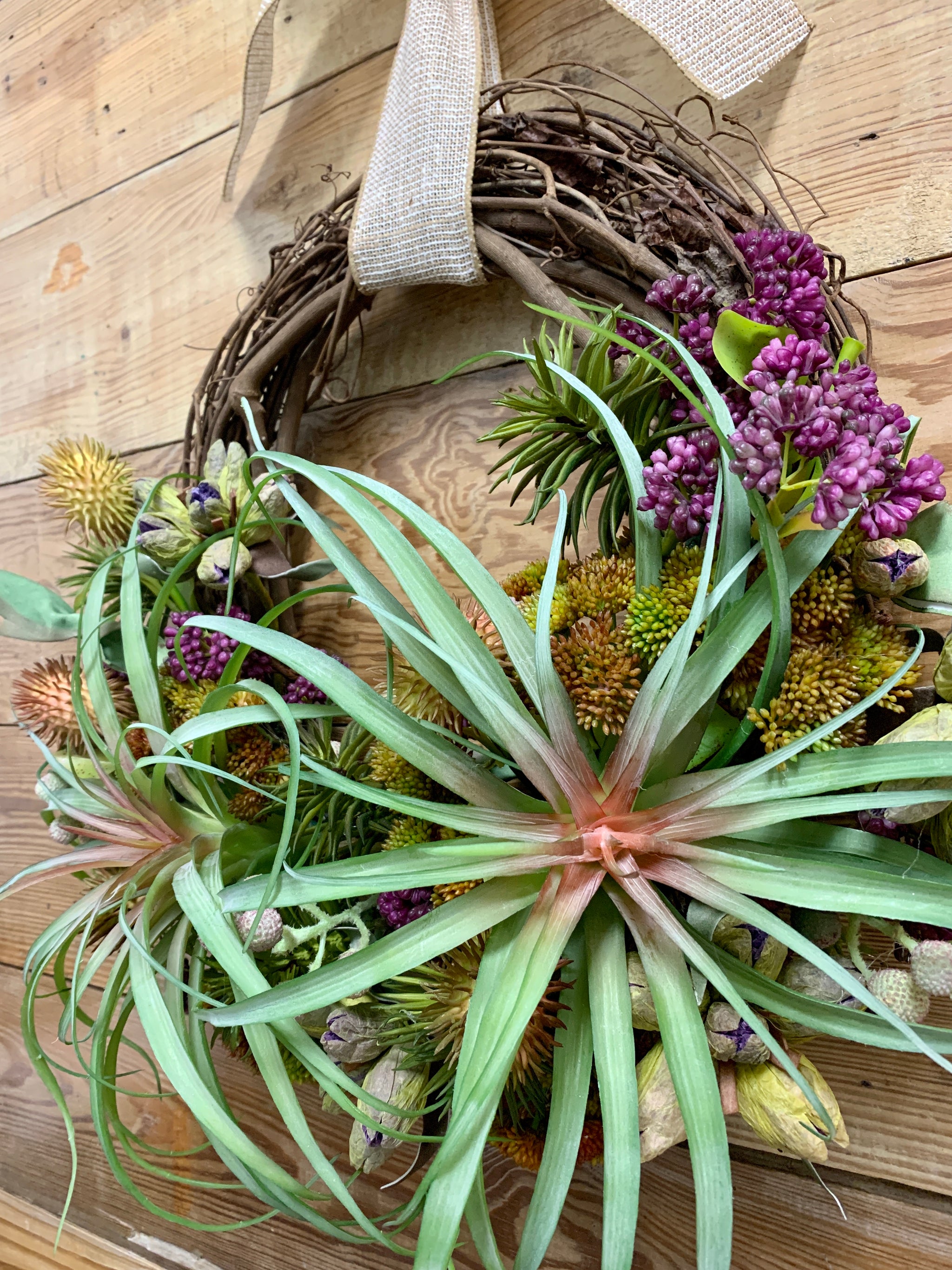 succulent front door wreath Yucca Succulent Wreath