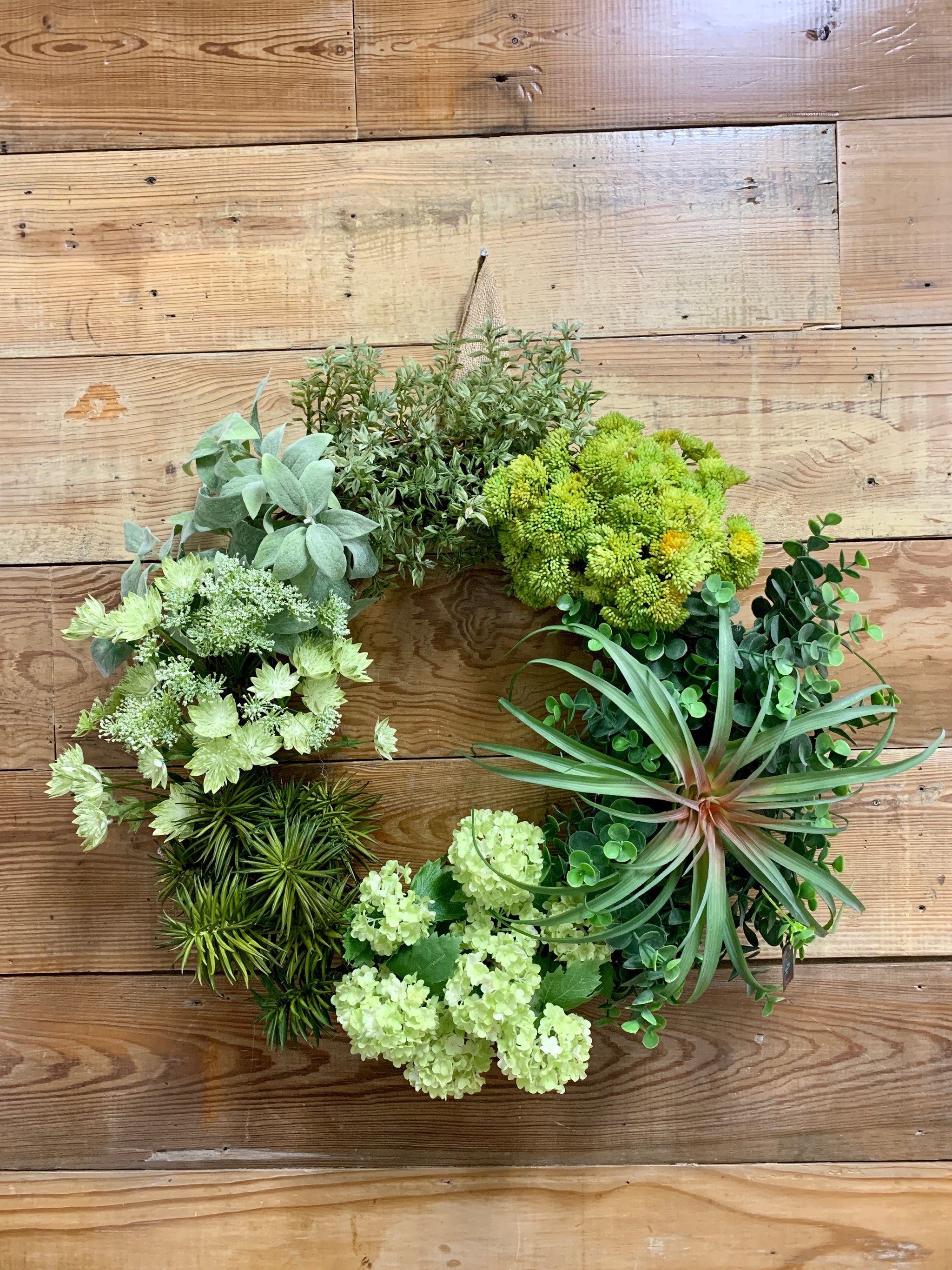 succulent wreath home depot Succulent Greenery Wreath