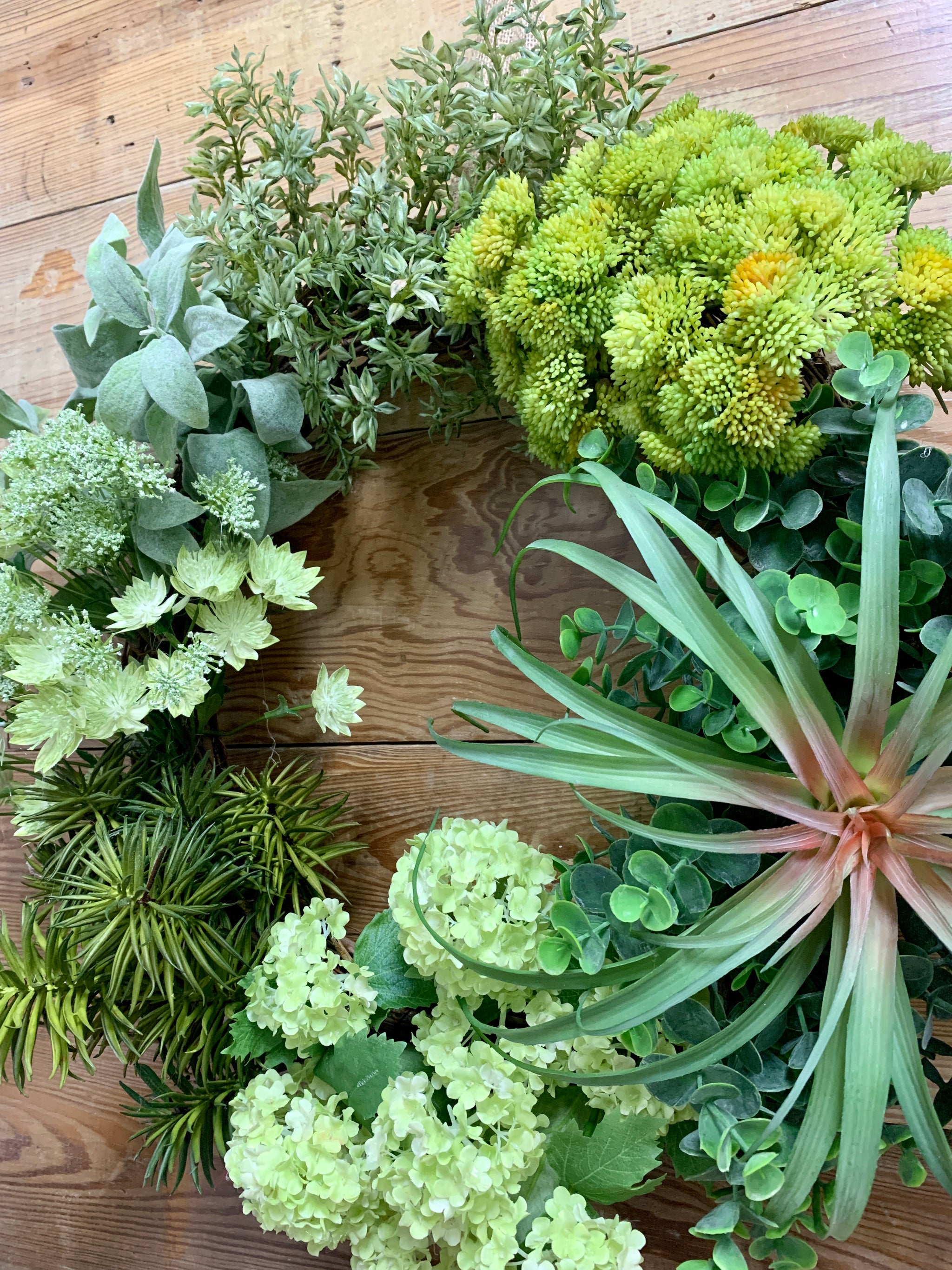 garden answer succulent wreath Succulent Greenery Wreath