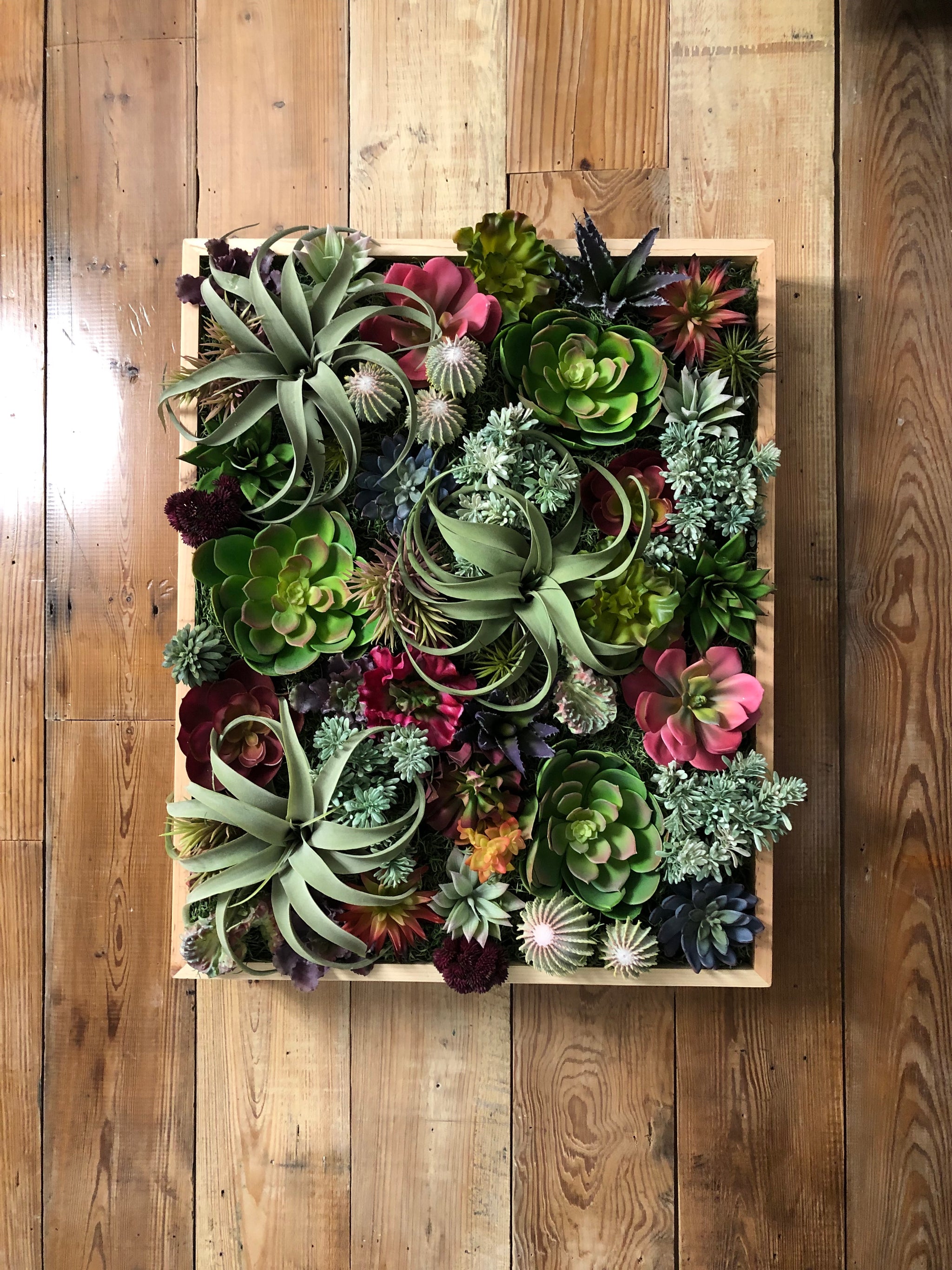 succulents wall decor Succulent Wood Panel
