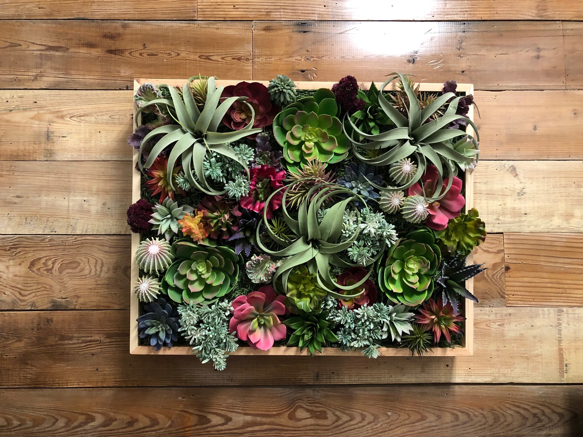 faux succulent wall Succulent Wood Panel