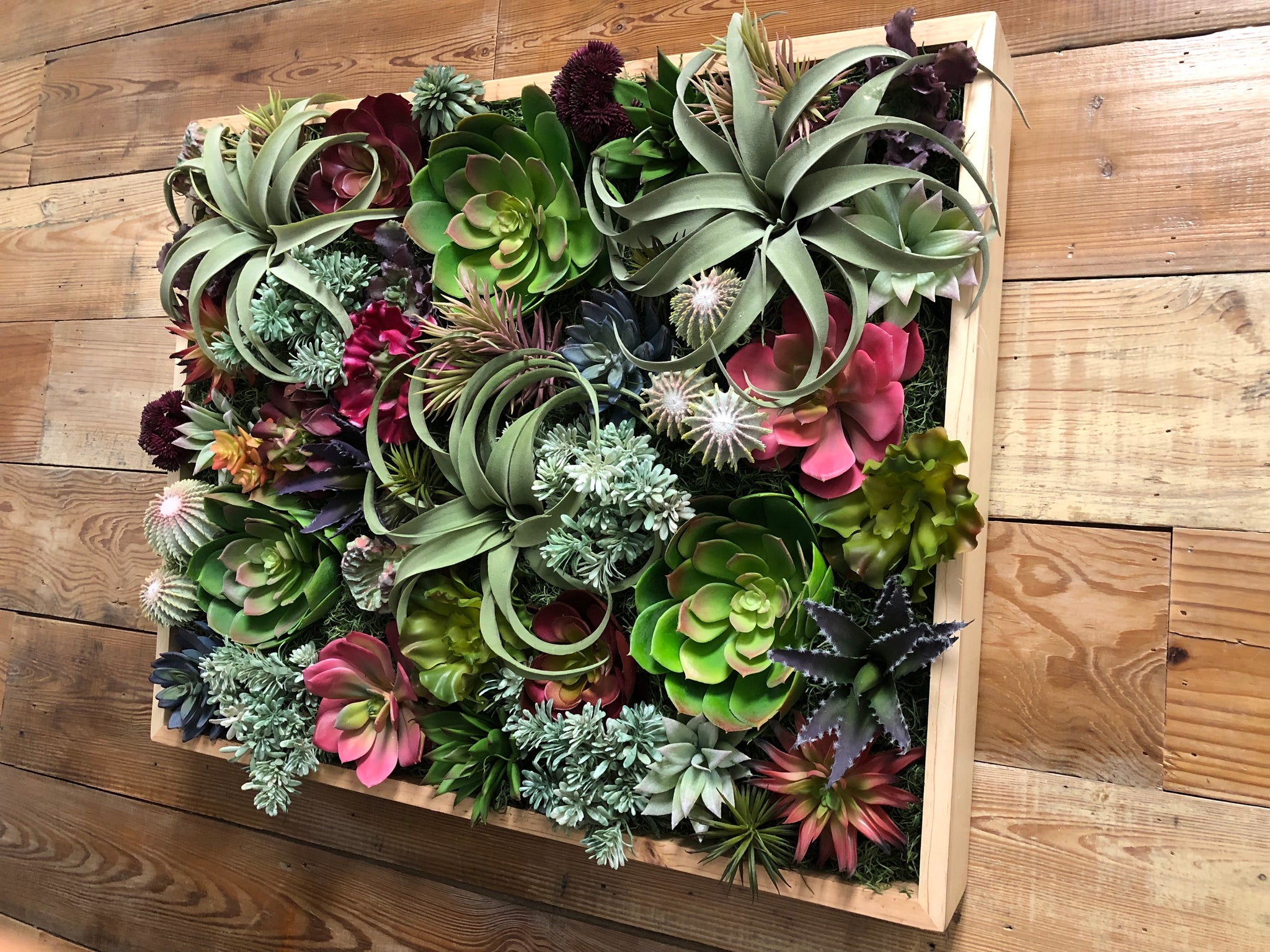 succulent wall hanging pots Succulent Wood Panel