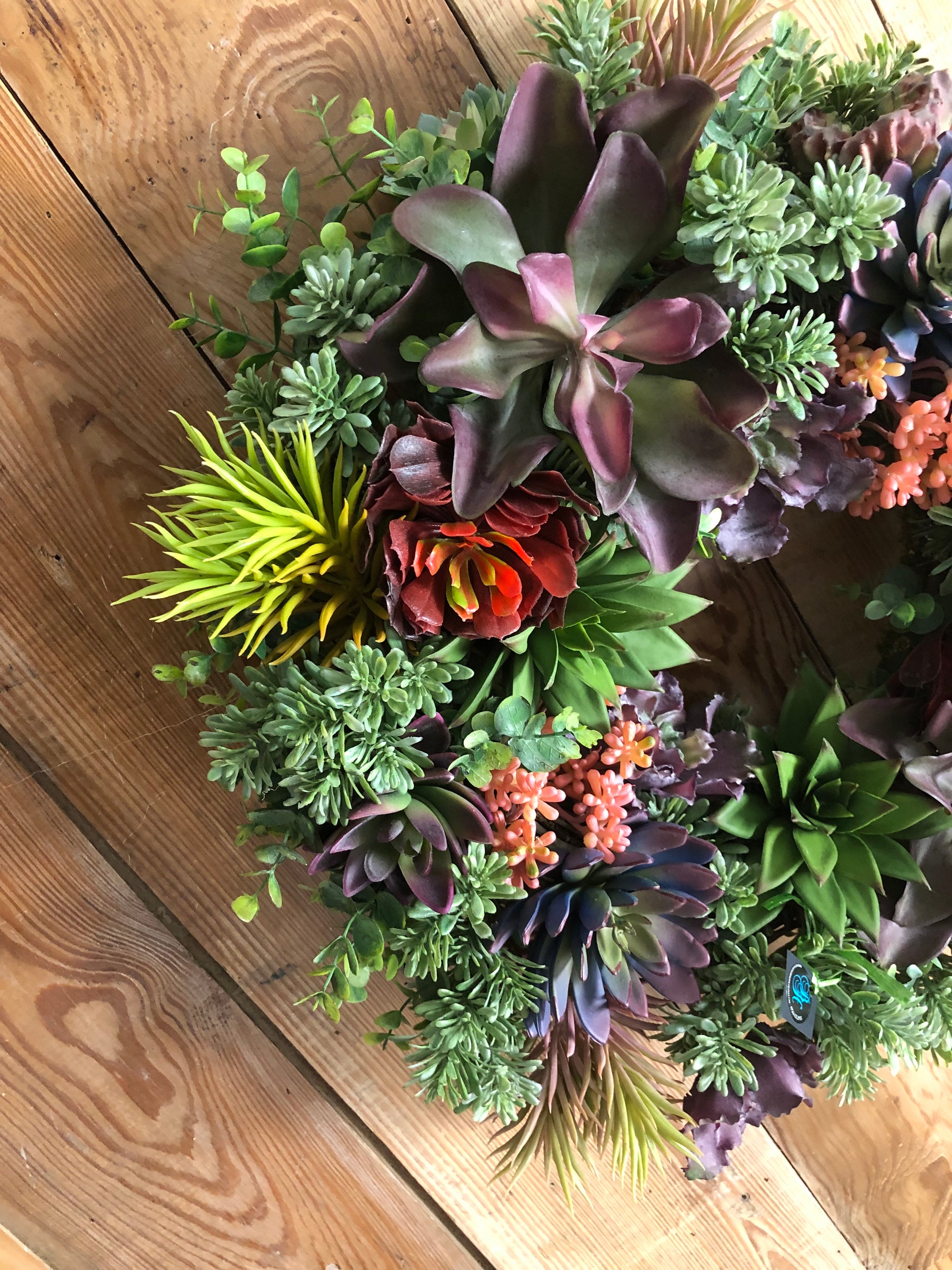 real succulent wreath Lush Succulent Wreath