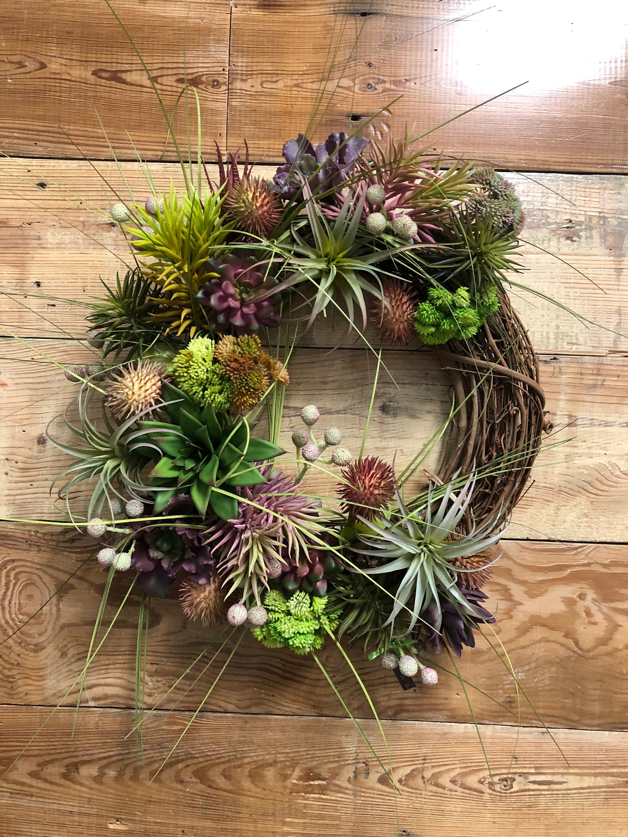 succulent grapevine wreath Wild Succulent Wreath